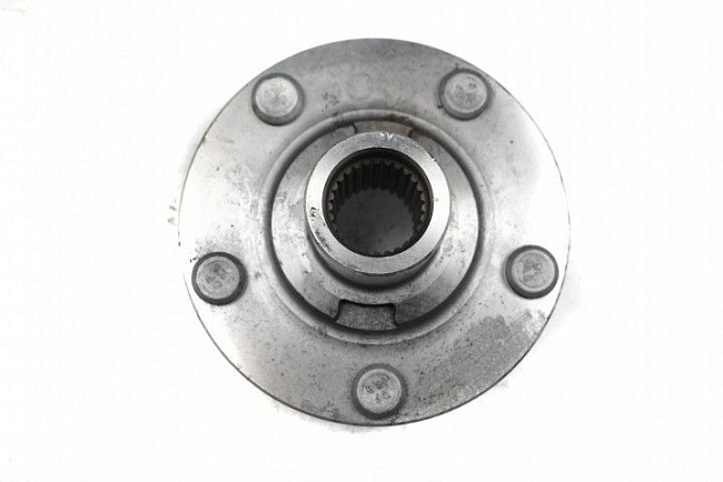 СТУПИЦА ПЕРЕДНЯЯ